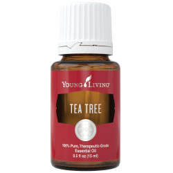 Tea Tree YL