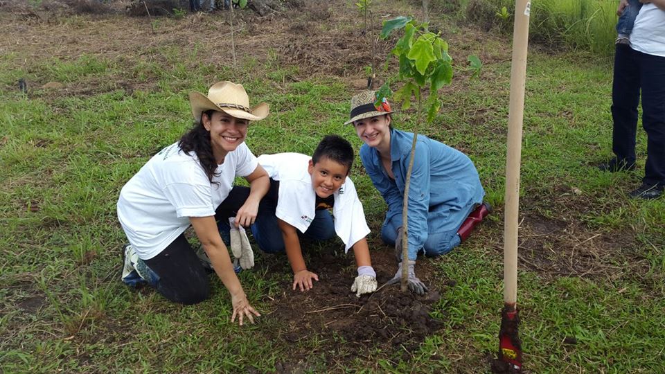 reforesta panama 1