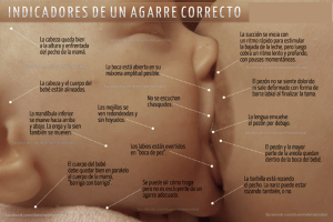 buen agarre para amamantar