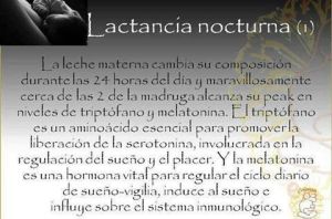 lactancia nocturna