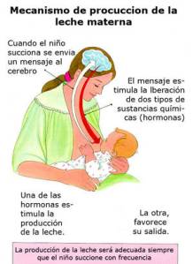 mecanismo de producción