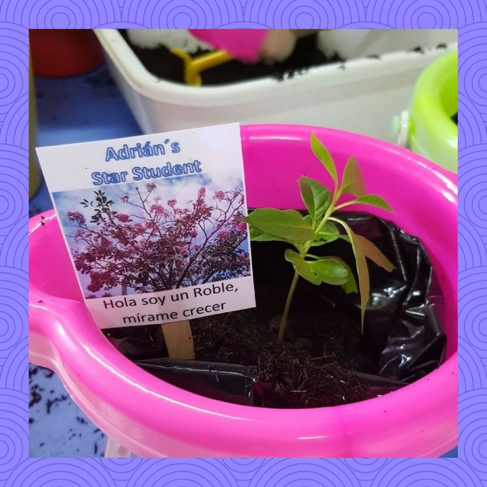 Diseño sin título